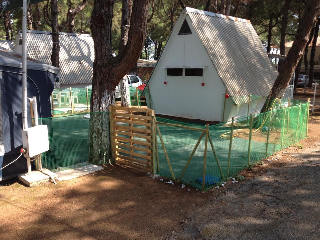 Olympos Beach プラカ・リトホロ エクステリア 写真