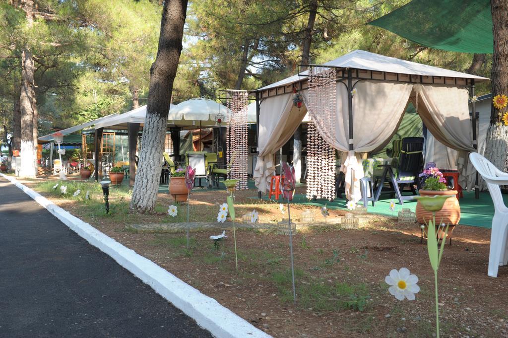Olympos Beach プラカ・リトホロ エクステリア 写真