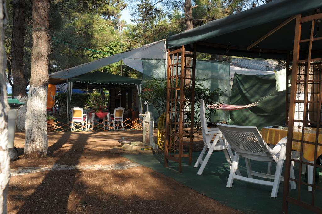 Olympos Beach プラカ・リトホロ エクステリア 写真